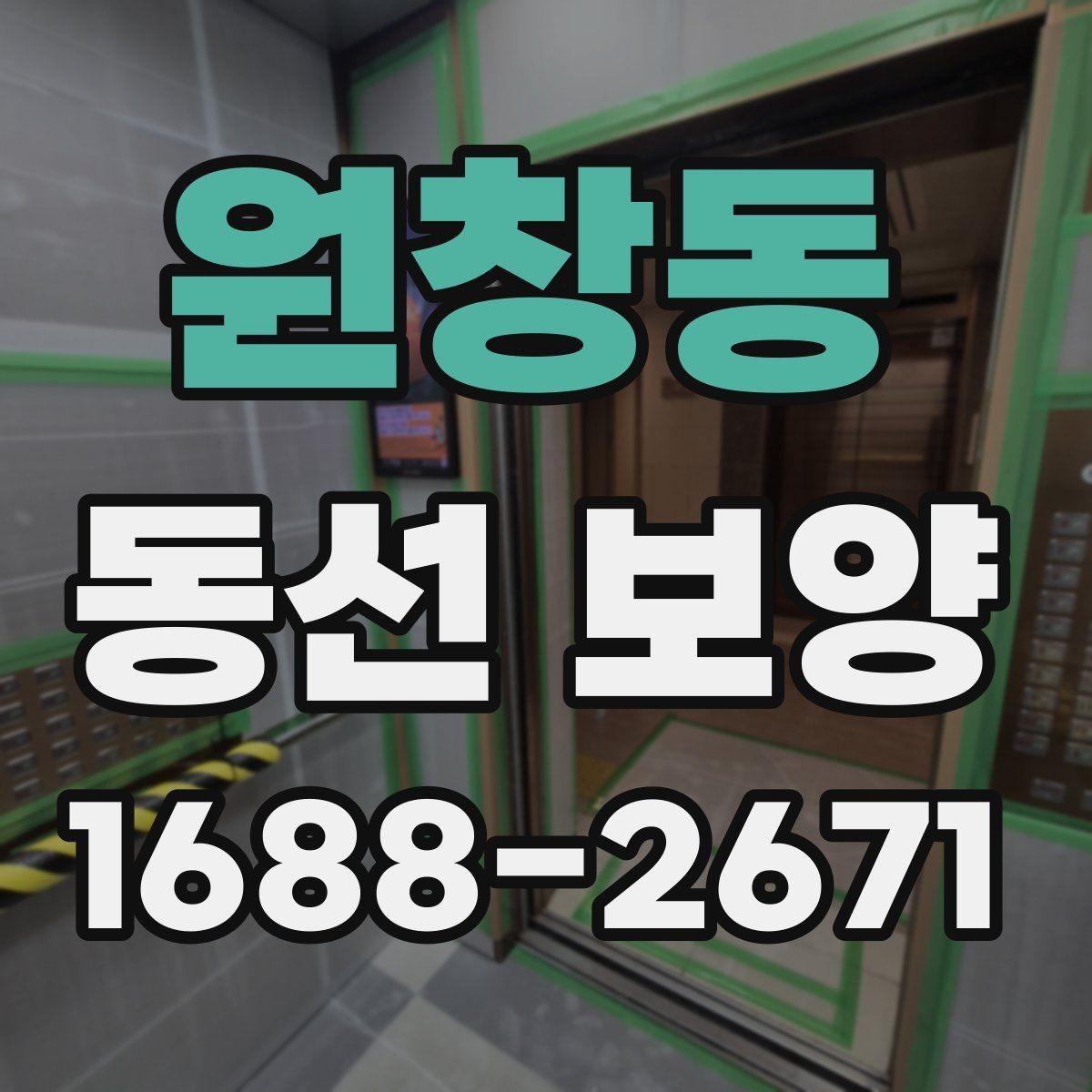 원창동 동선 보양 비용과 범위는 어떻게 달라질까