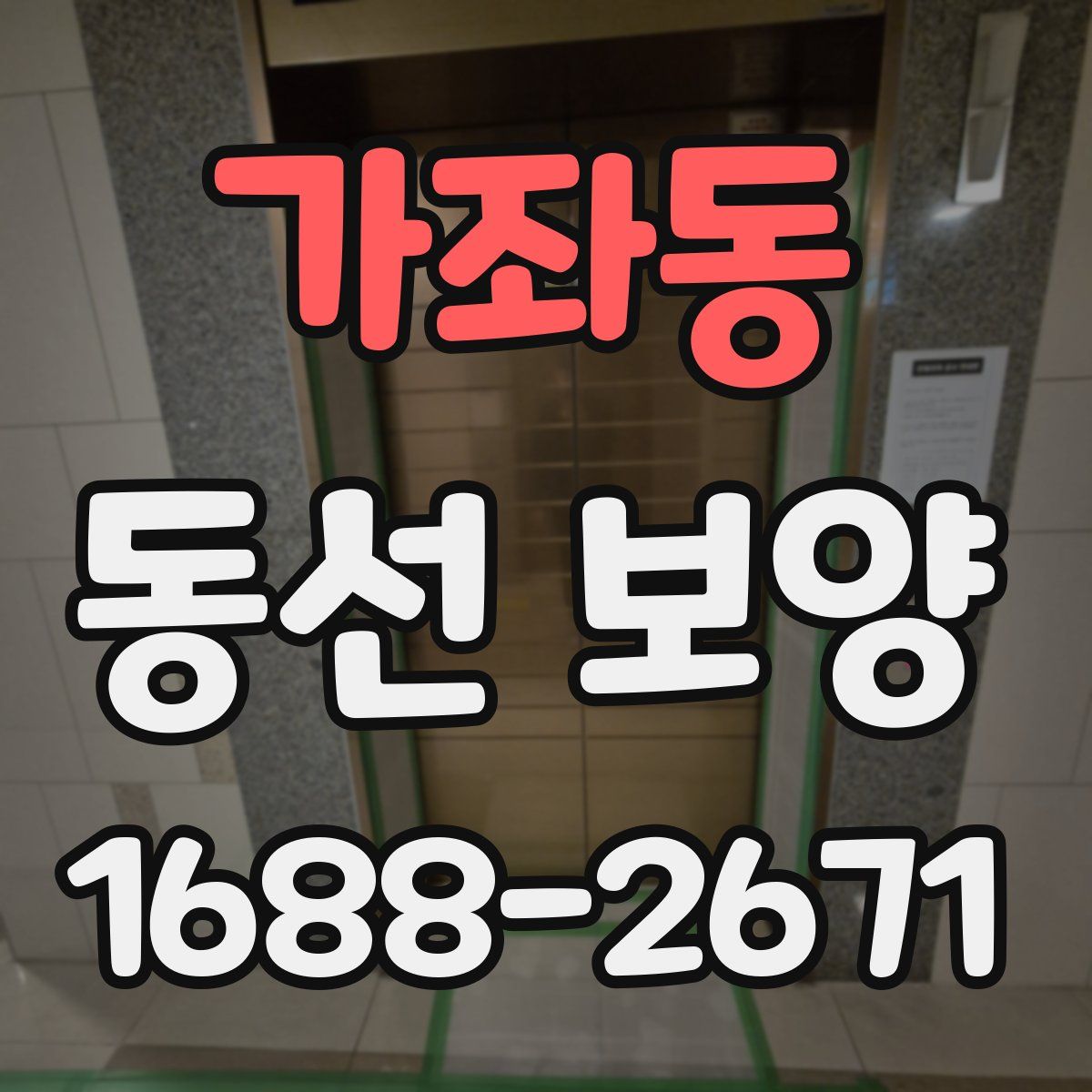 가좌동 동선 보양