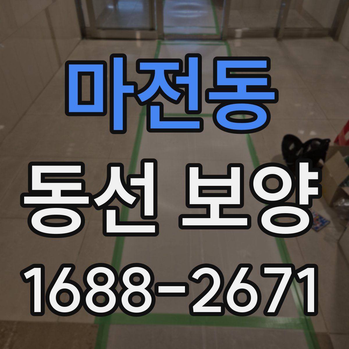 마전동 동선 보양