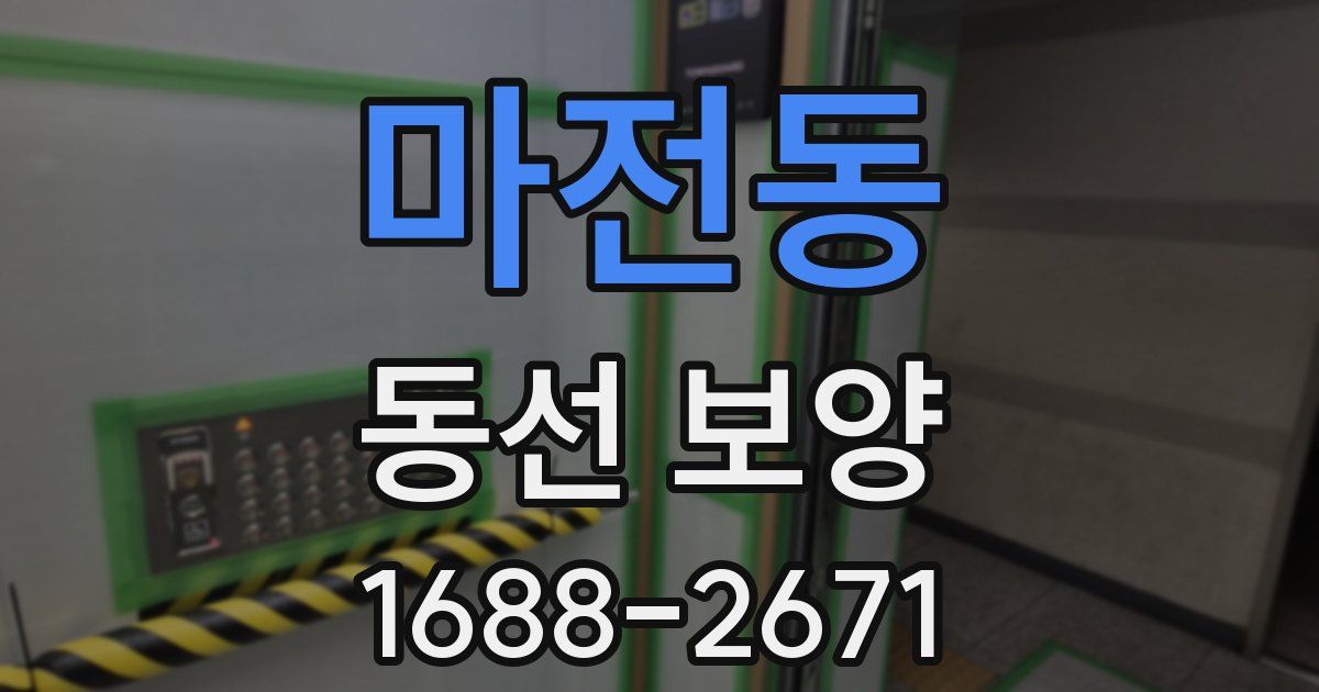 마전동 동선 보양