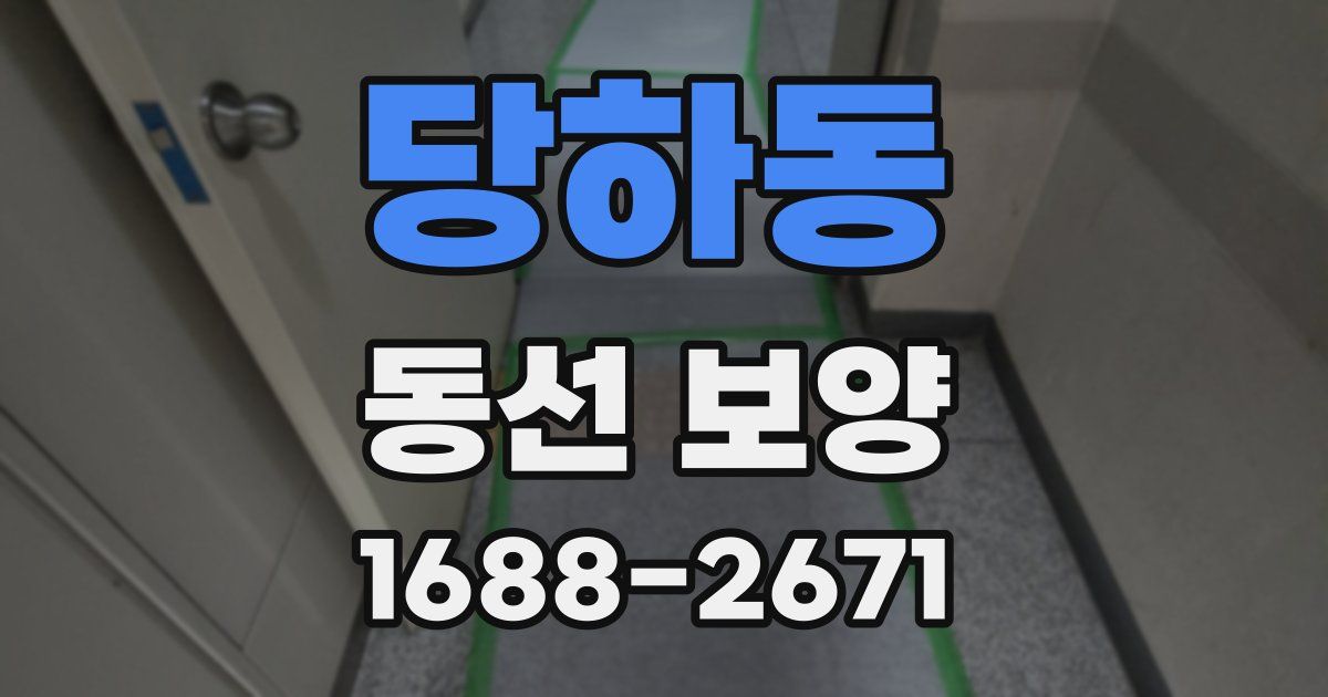 당하동 동선 보양