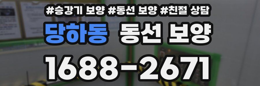 당하동 동선 보양