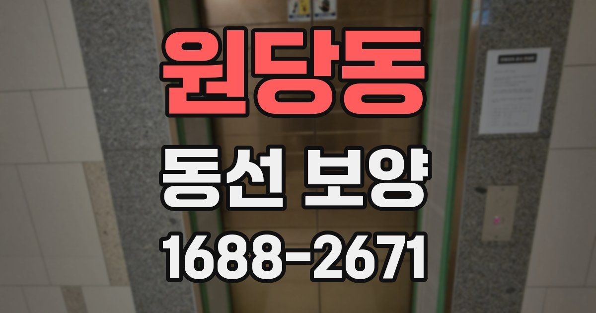 원당동 동선 보양