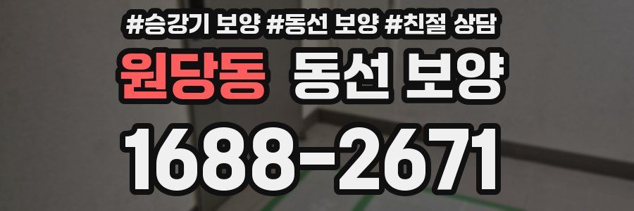 원당동 동선 보양