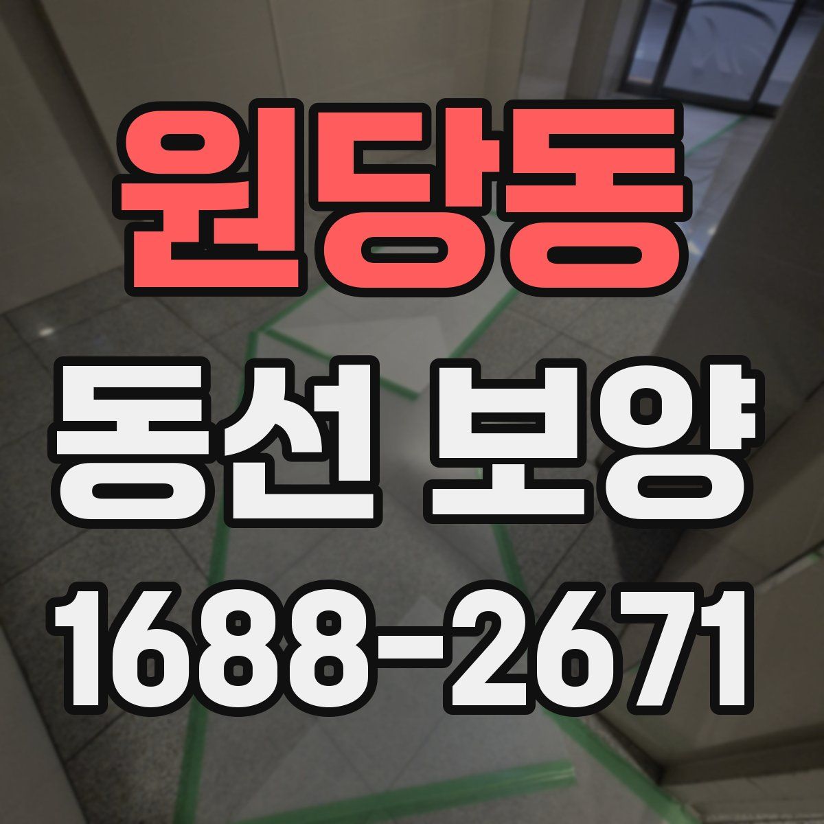 원당동 동선 보양