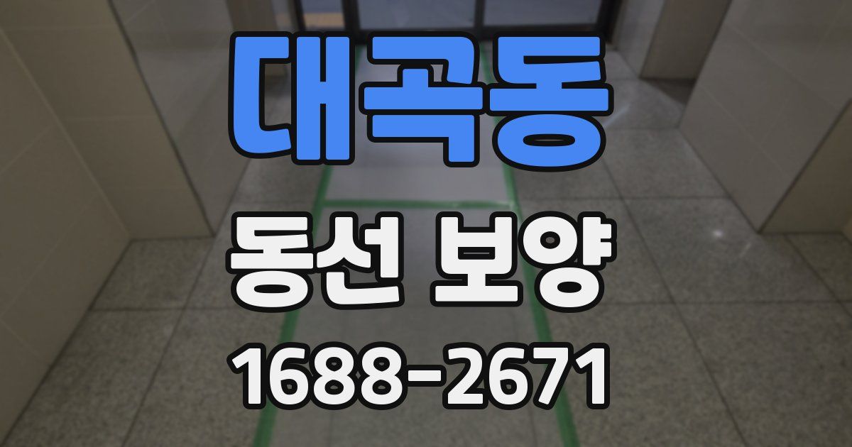대곡동 동선 보양