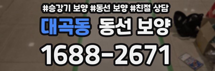 대곡동 동선 보양