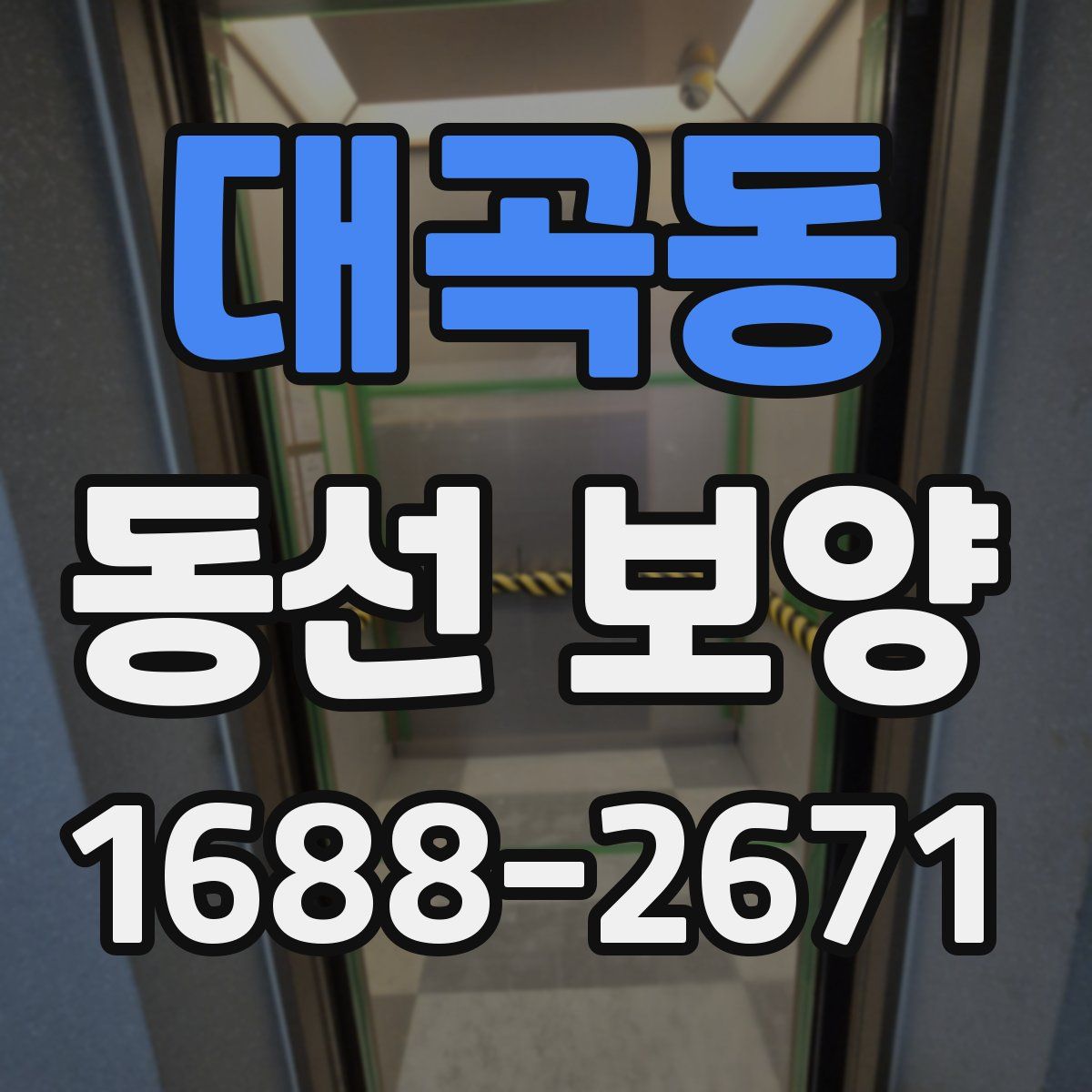 대곡동 동선 보양