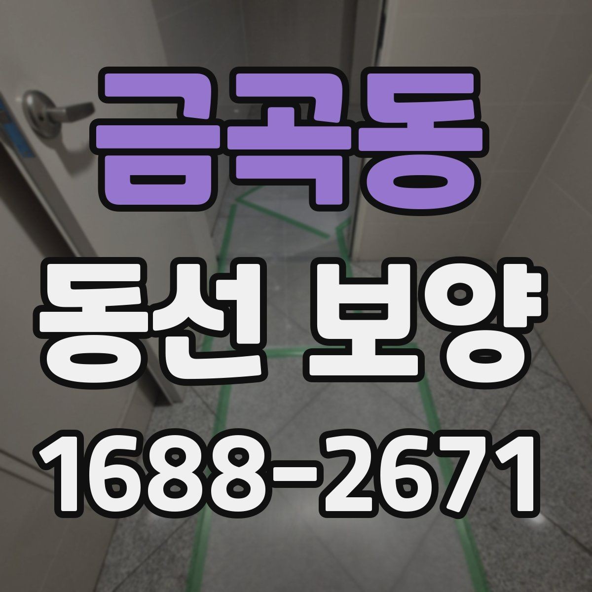 금곡동 동선 보양 진행 과정에서 반복되는 실수