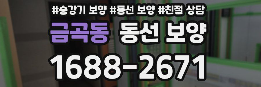 금곡동 동선 보양