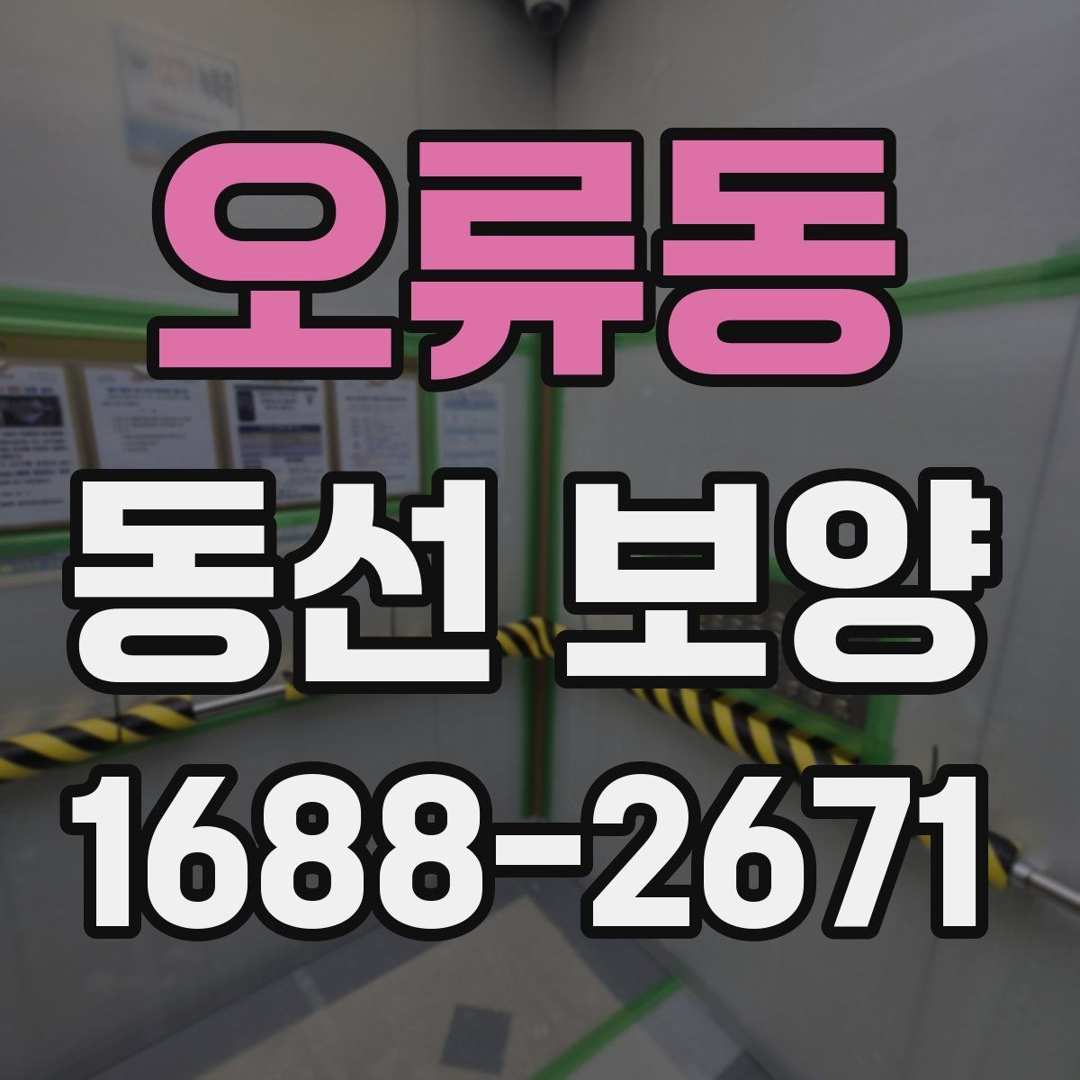 오류동 동선 보양 공정별 체크포인트 정리