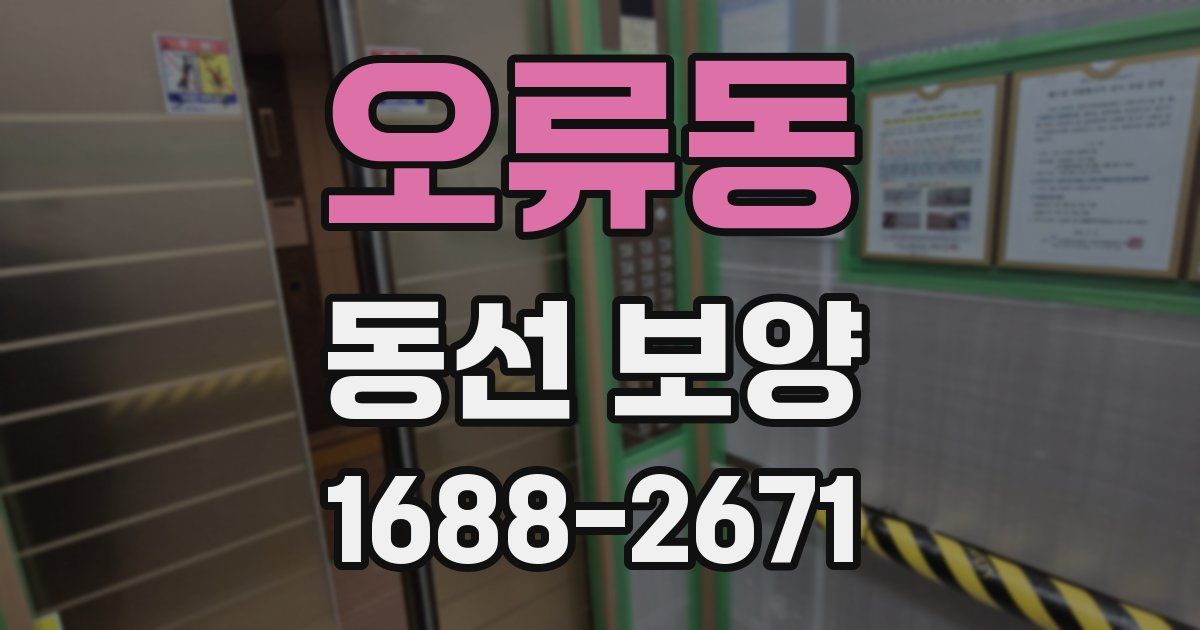 오류동 동선 보양