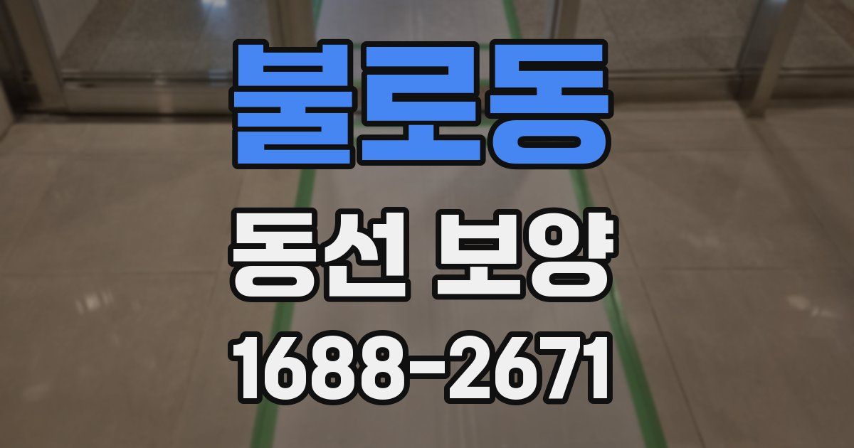 불로동 동선 보양