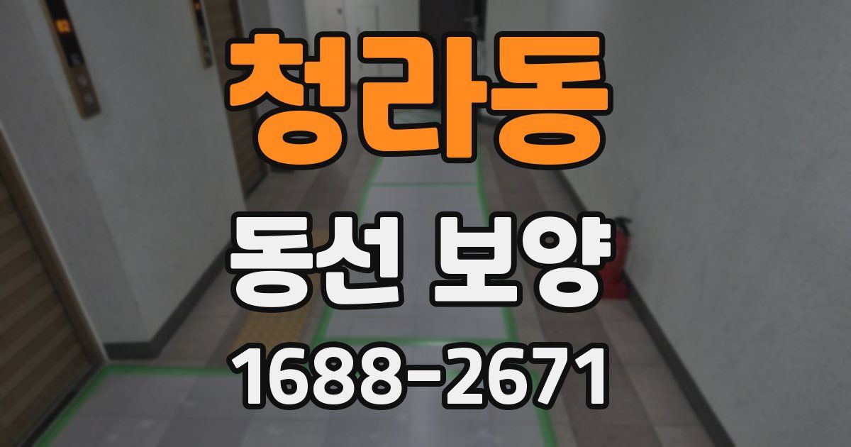 청라동 동선 보양