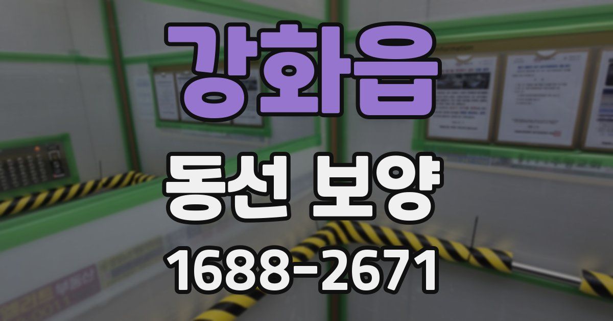 강화읍 동선 보양