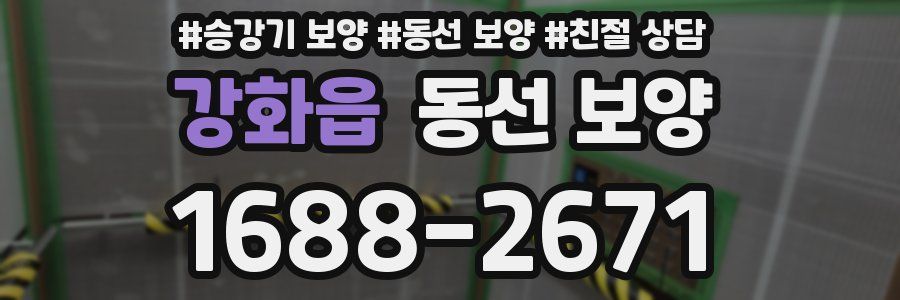 강화읍 동선 보양