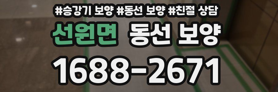 선원면 동선 보양