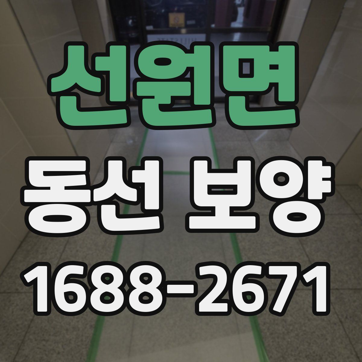 선원면 동선 보양