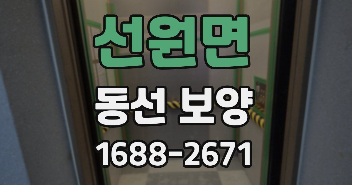 선원면 동선 보양