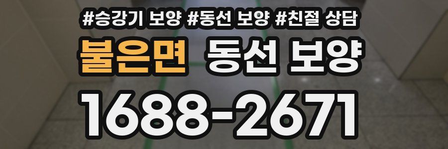 불은면 동선 보양