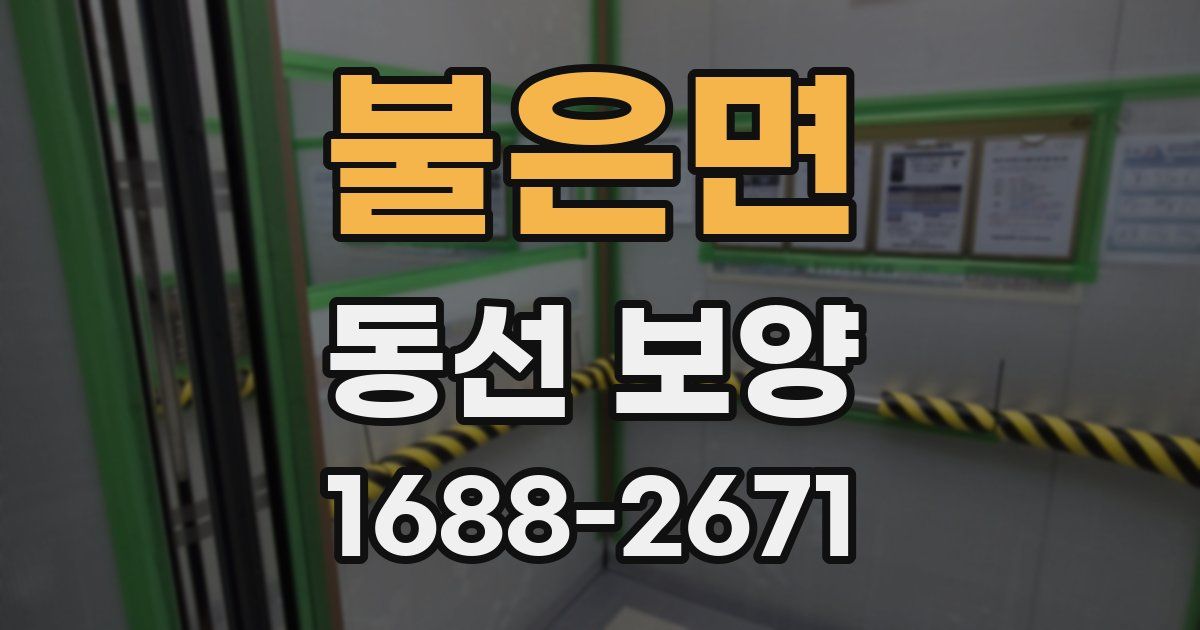 불은면 동선 보양