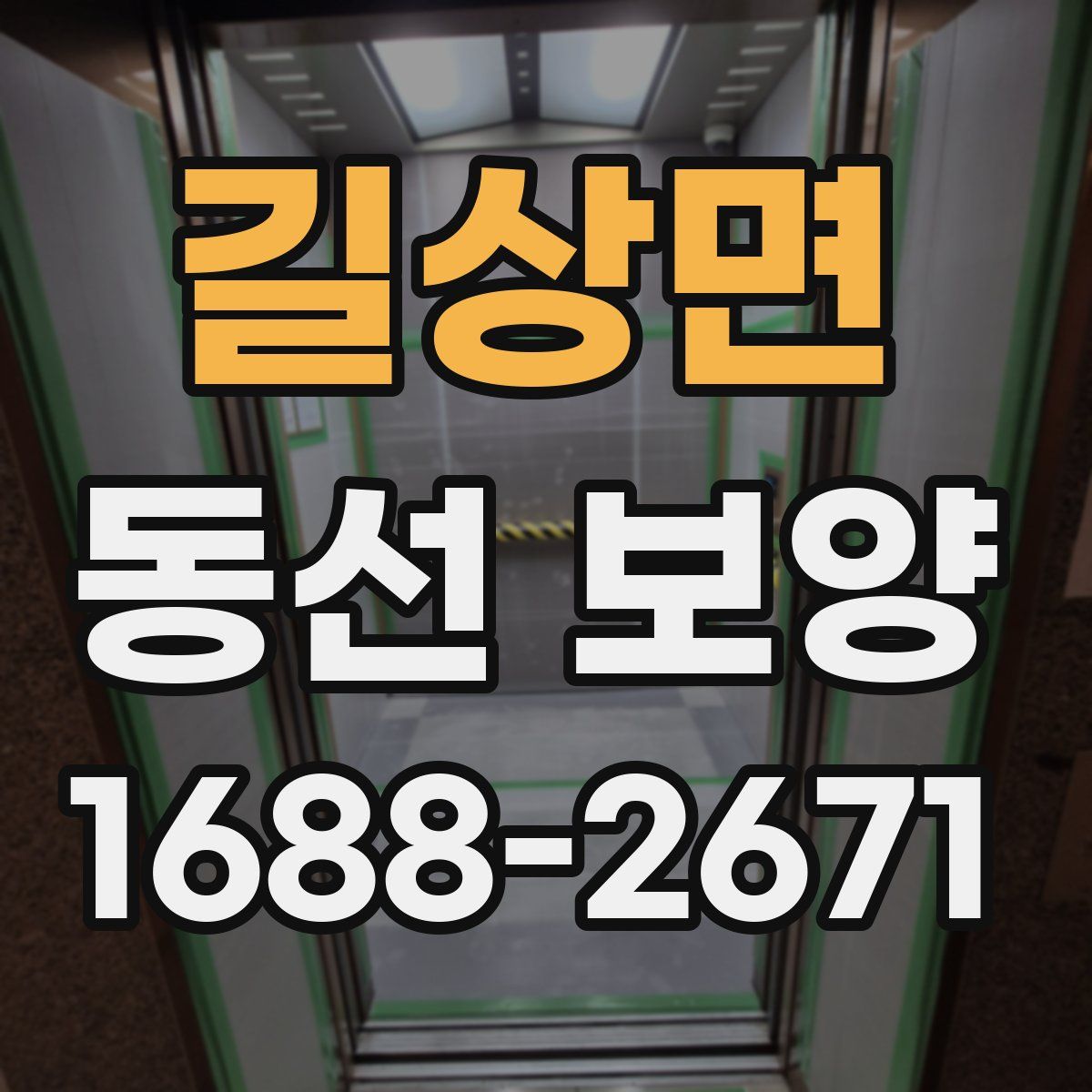 길상면 동선 보양