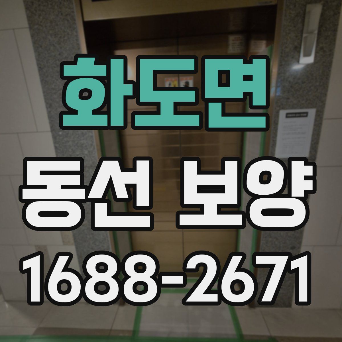 화도면 동선 보양