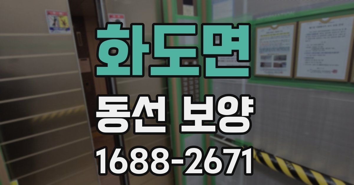 화도면 동선 보양