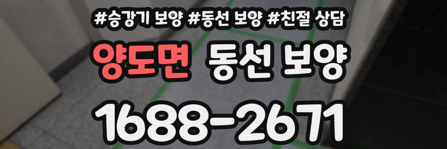 양도면 동선 보양