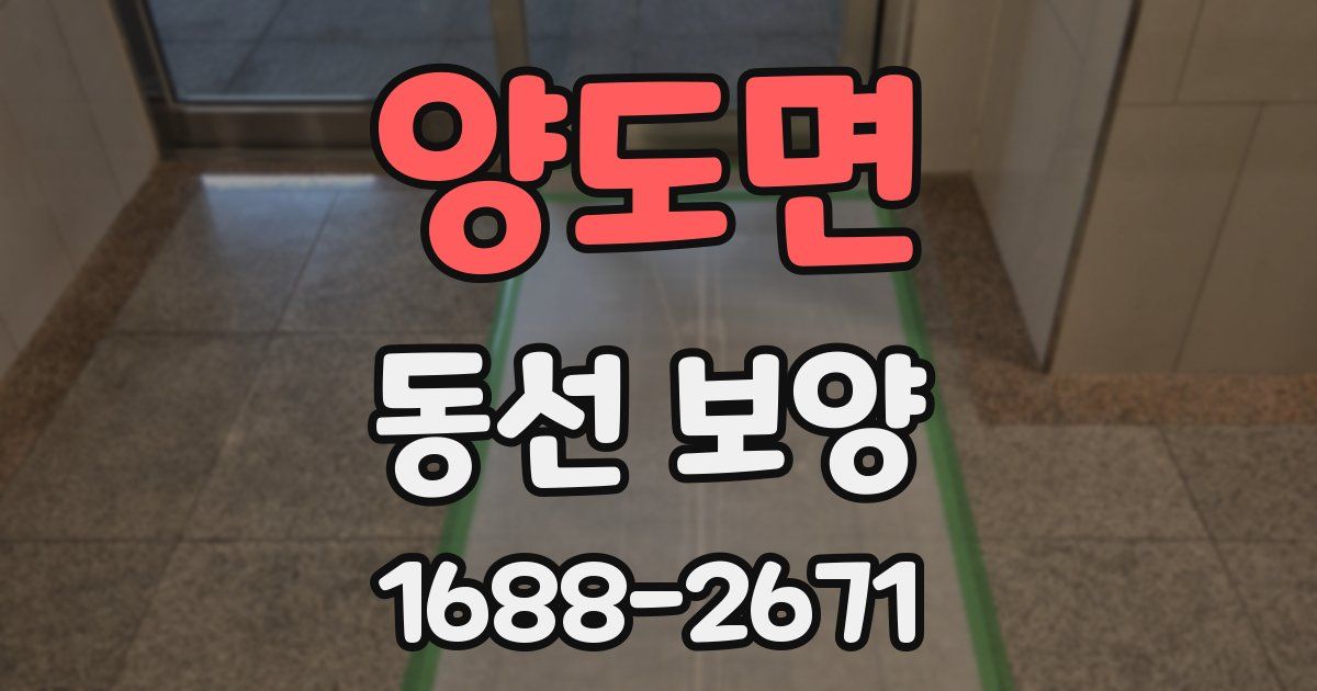 양도면 동선 보양