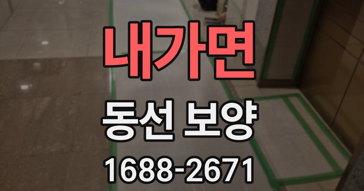 내가면 동선 보양