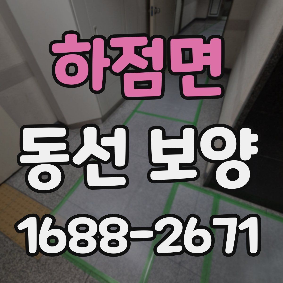 하점면 동선 보양 후 안전 관리까지 챙겨야 하는 이유