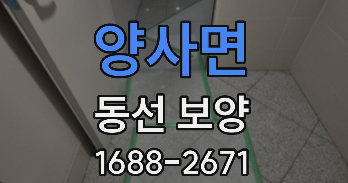 양사면 동선 보양