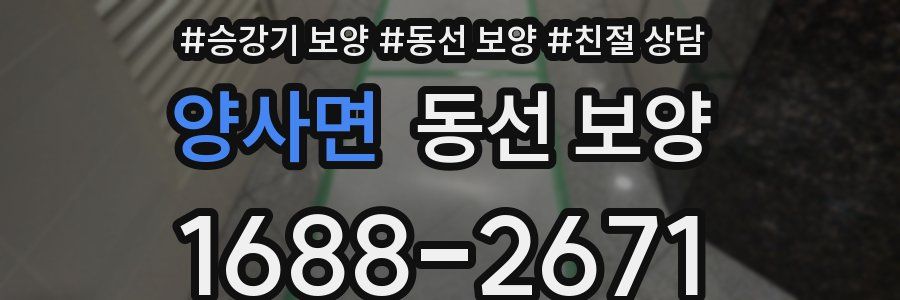 양사면 동선 보양