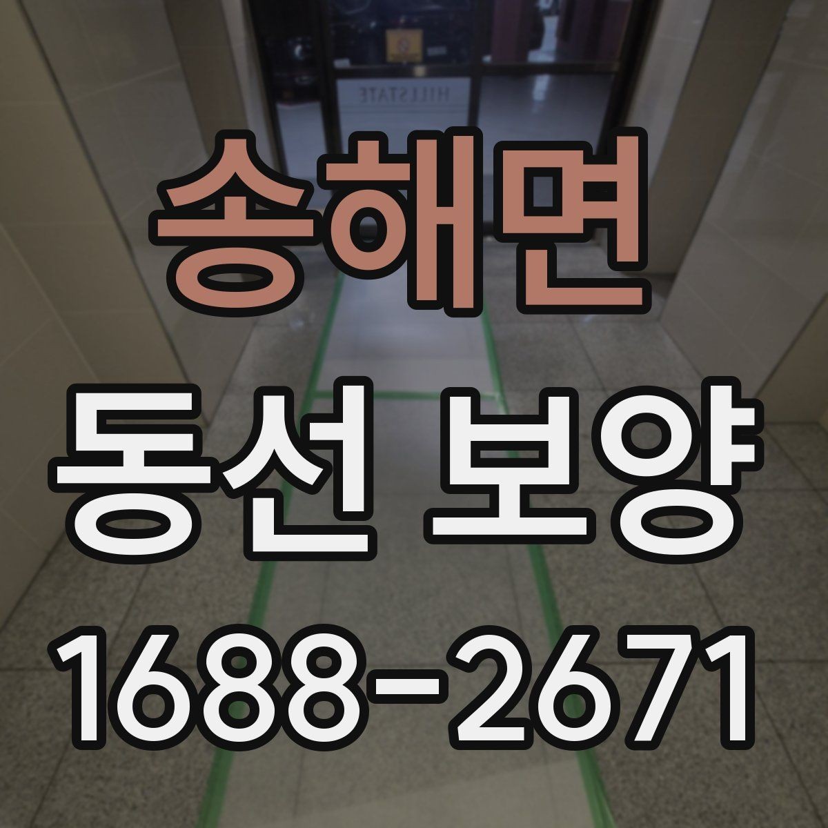 송해면 동선 보양 업체를 볼 때 확인할 기준