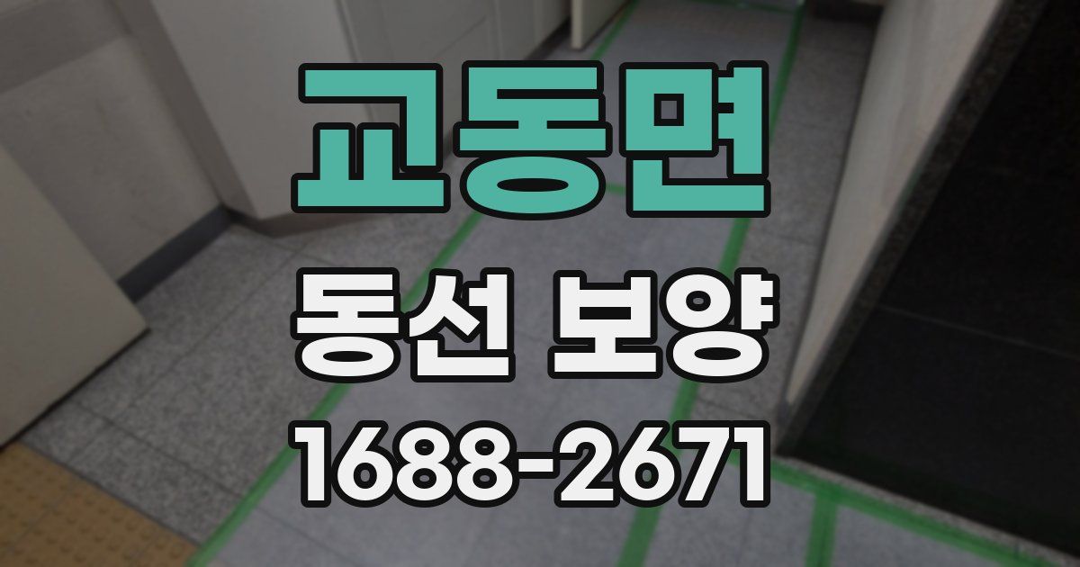 교동면 동선 보양
