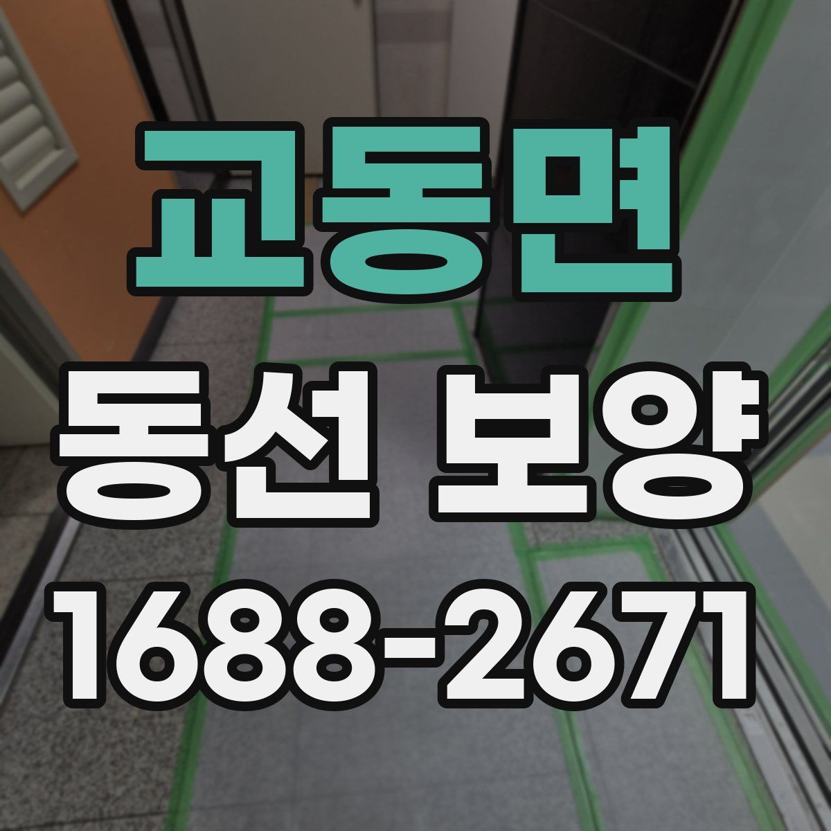 교동면 동선 보양