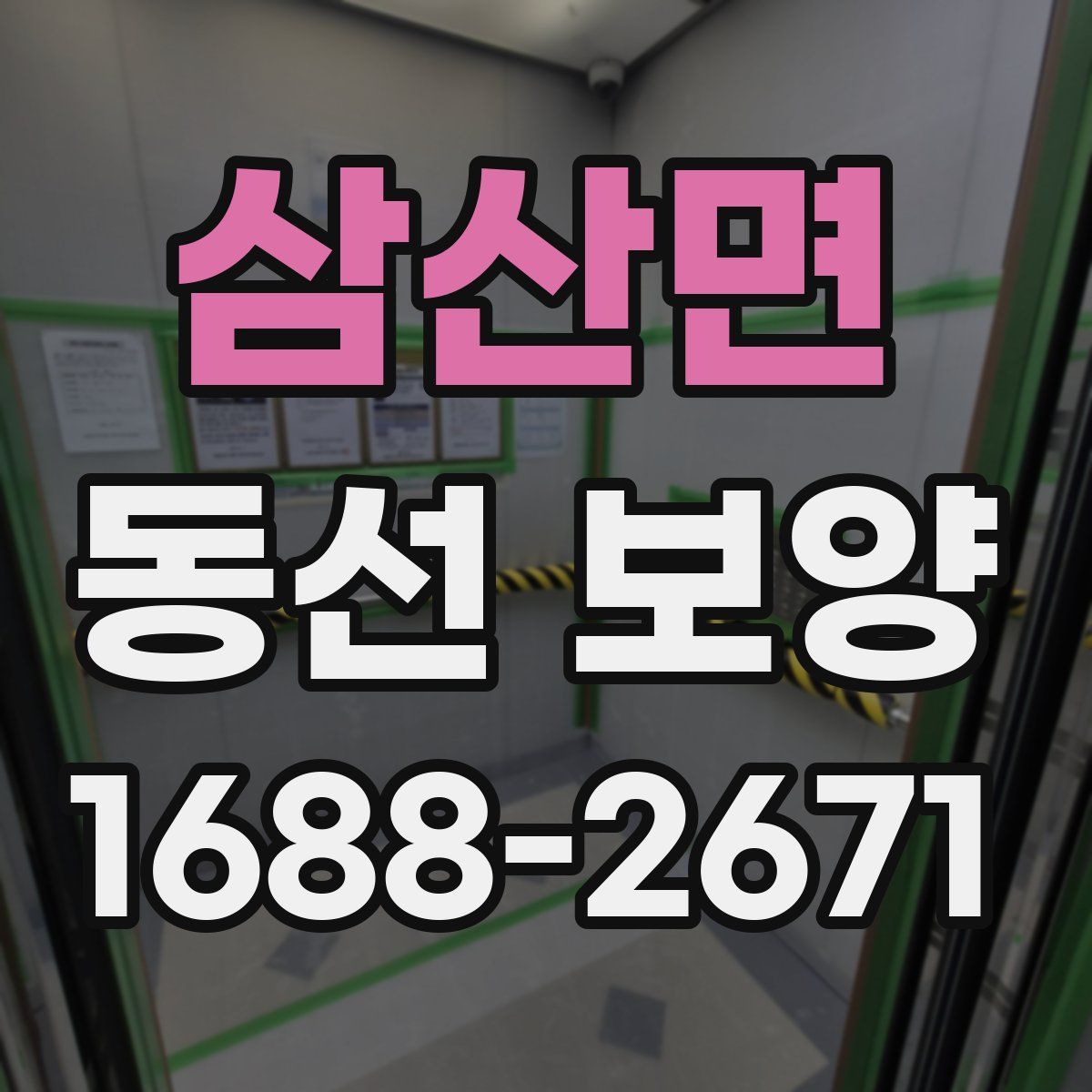삼산면 동선 보양