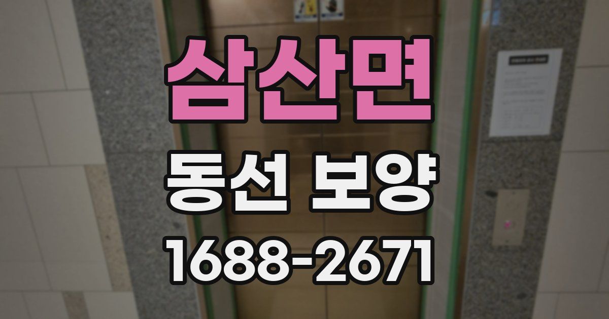 삼산면 동선 보양