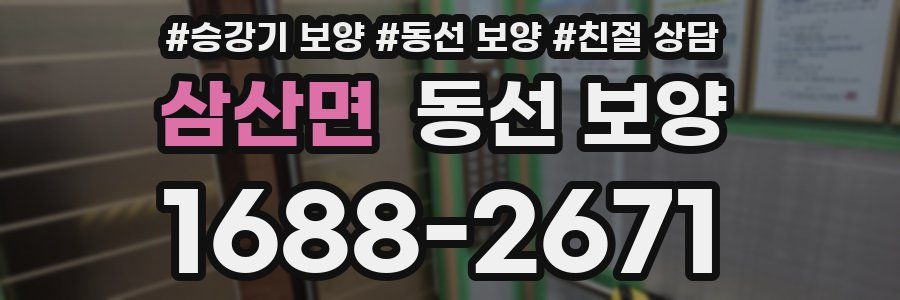 삼산면 동선 보양