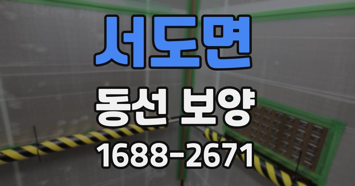 서도면 동선 보양