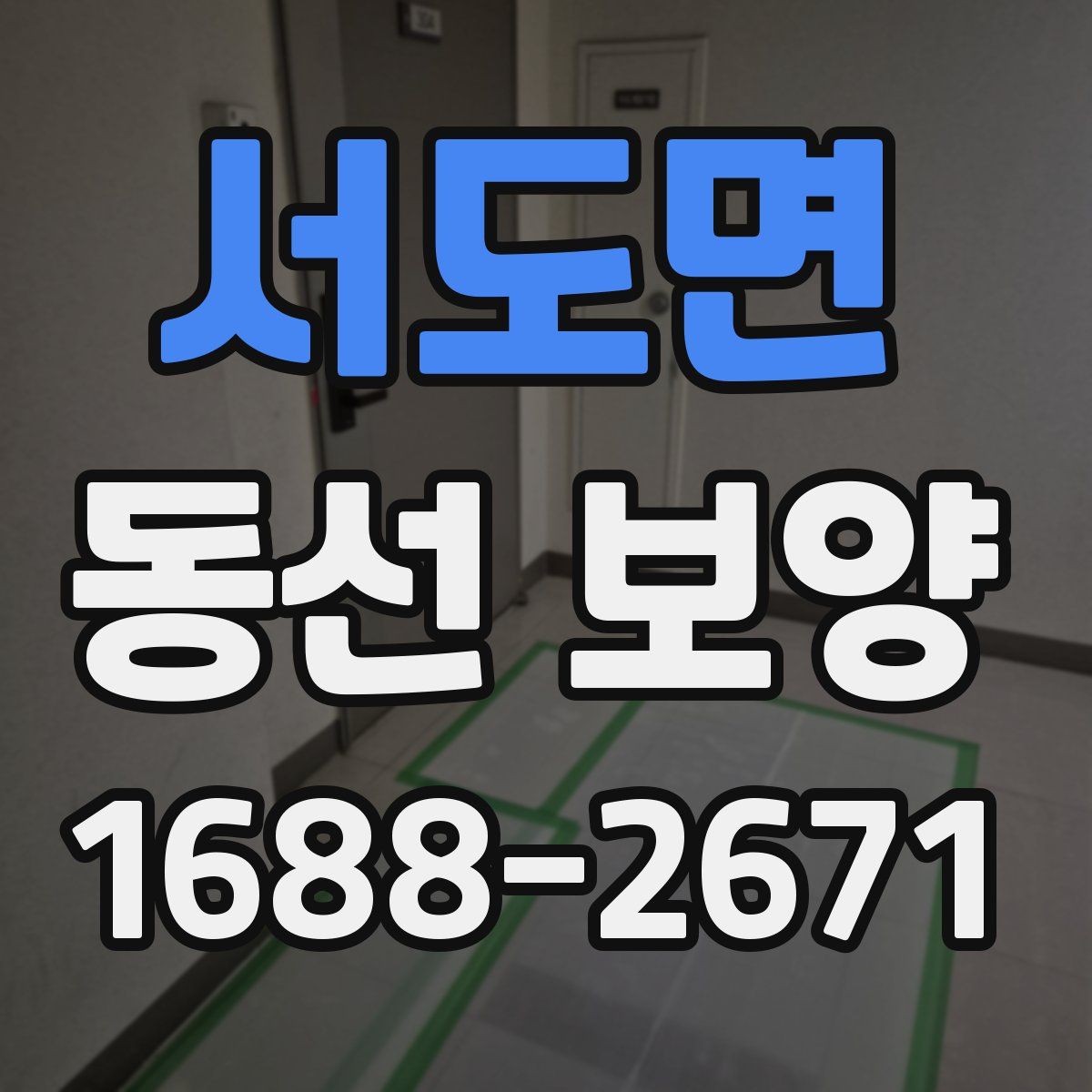 서도면 동선 보양
