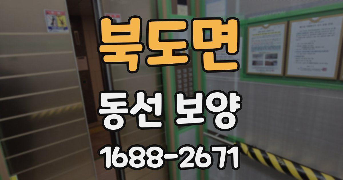 북도면 동선 보양