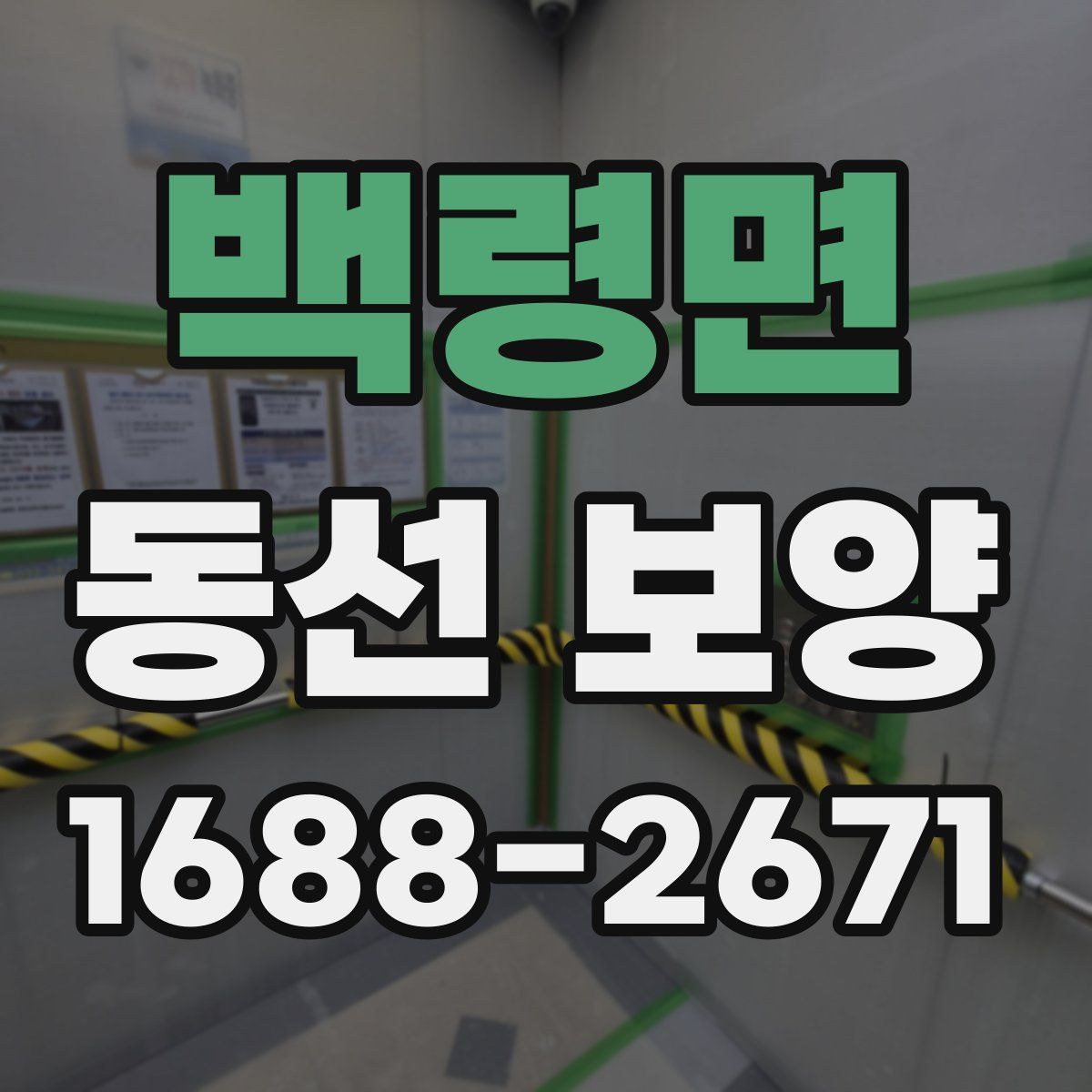 백령면 동선 보양