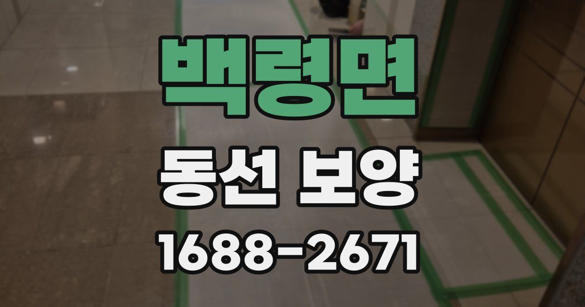 백령면 동선 보양