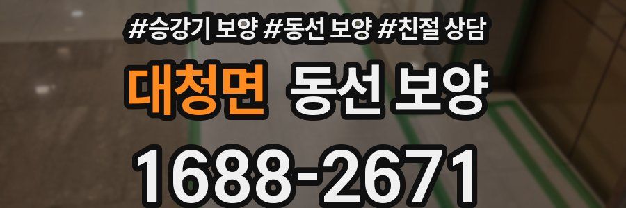 대청면 동선 보양