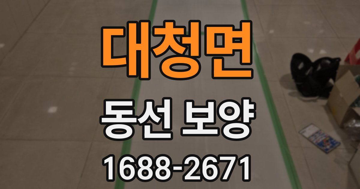 대청면 동선 보양