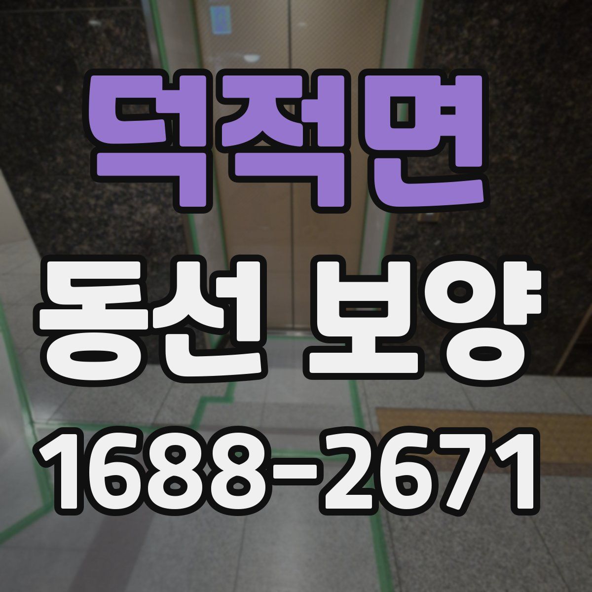 덕적면 동선 보양