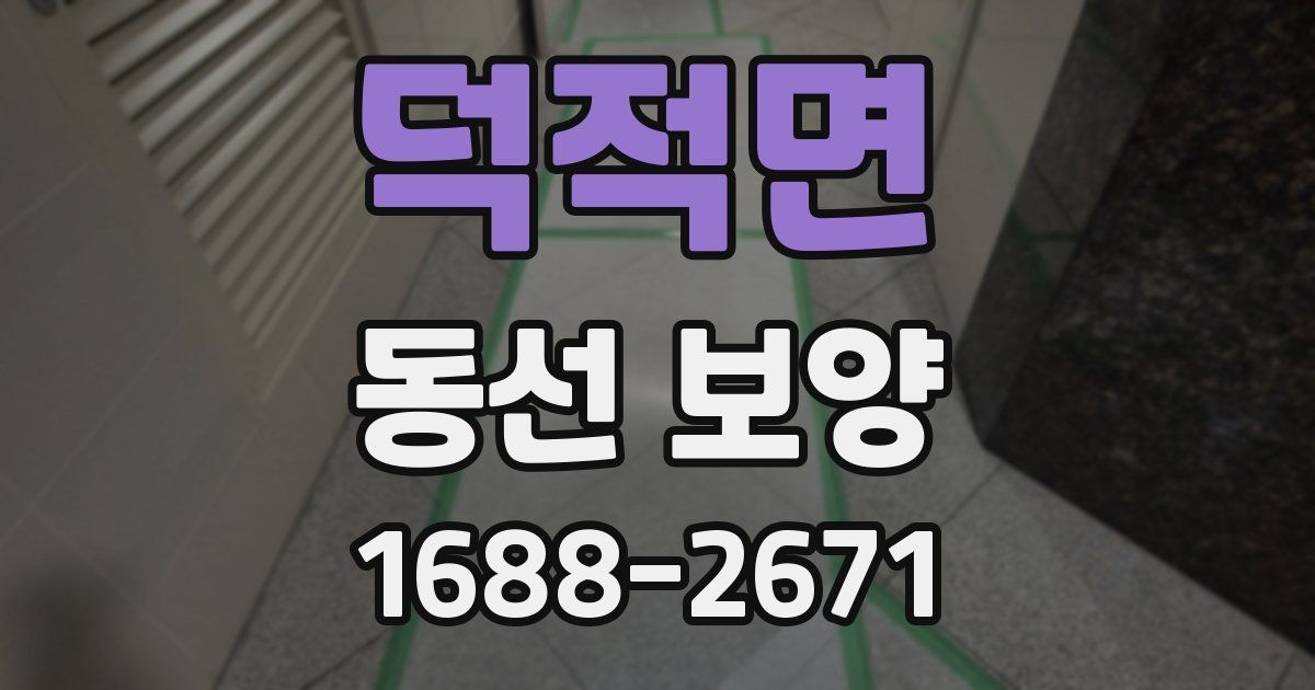 덕적면 동선 보양