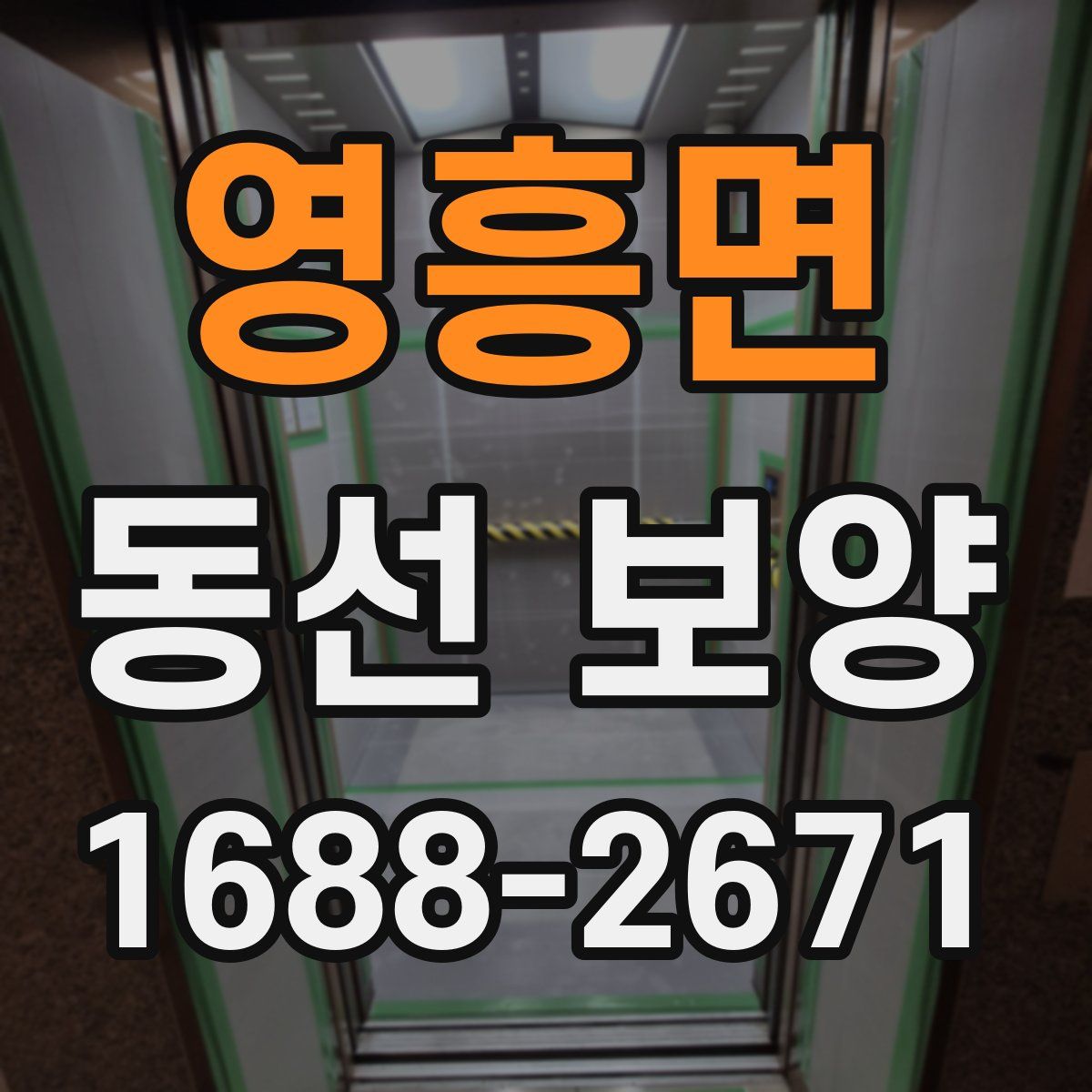 영흥면 동선 보양